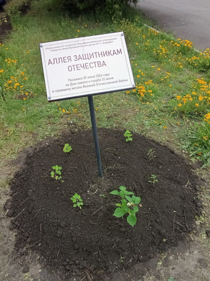 Аллея Защитникам Отечества.